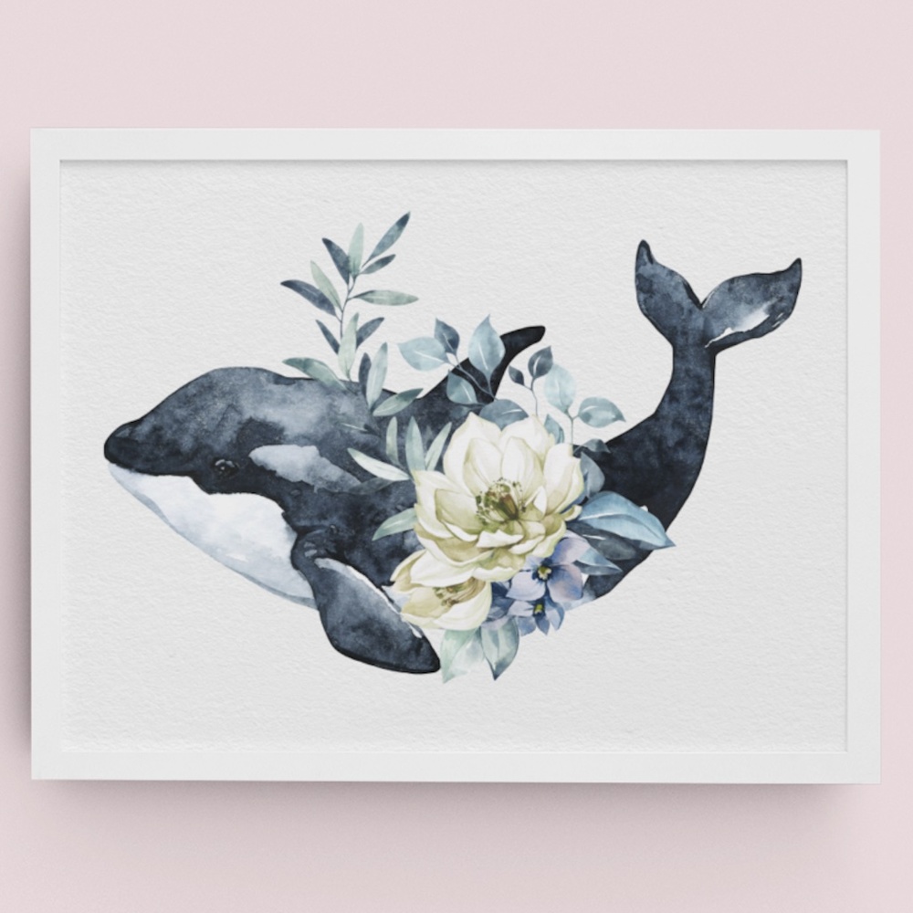 Watercolor Orca Whale Wall Art Illustration Print Poster Unframed - Picture 10 of 10